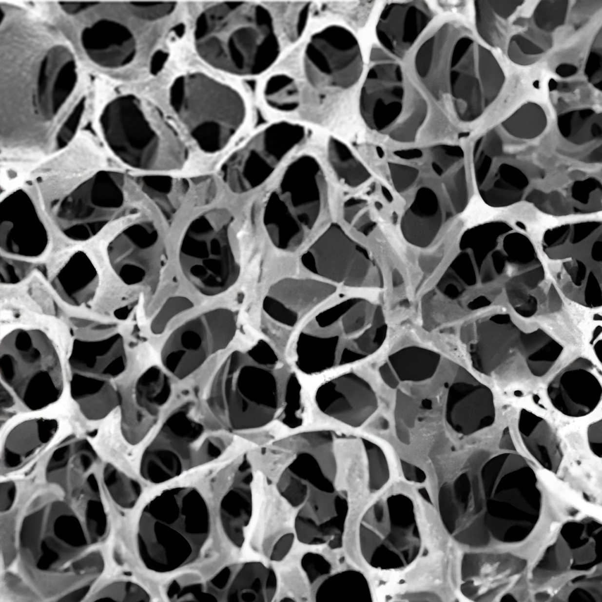 Open cell spray foam 
